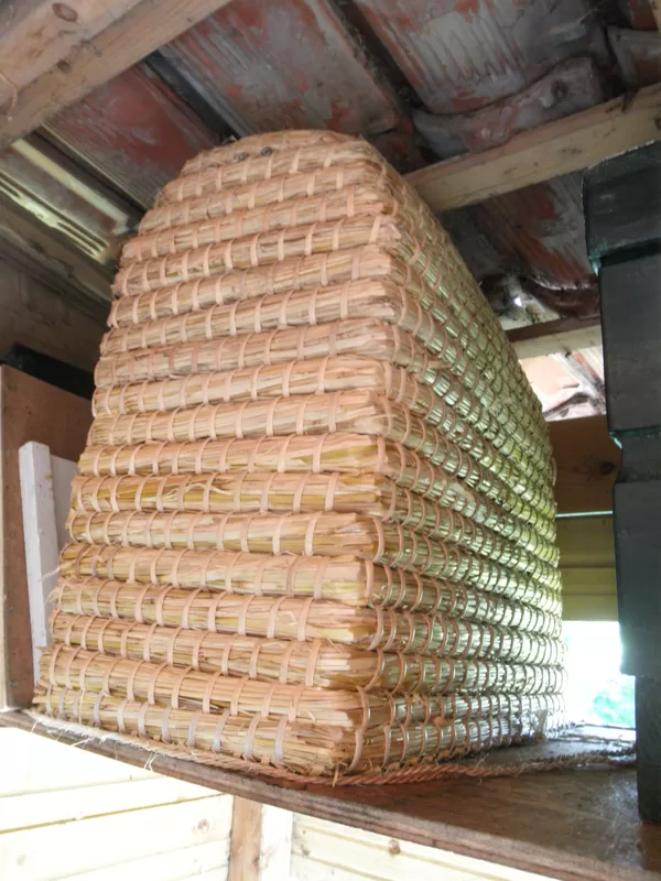 Gravenhorster boogkorf